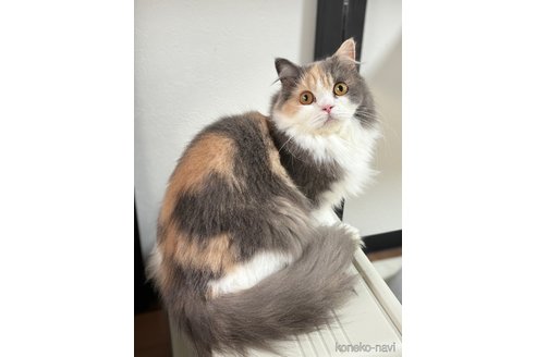 メルちゃん1枚目