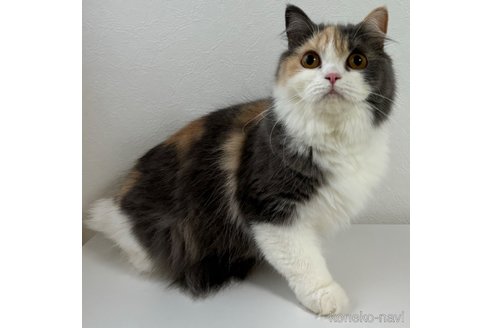 メルちゃん1枚目