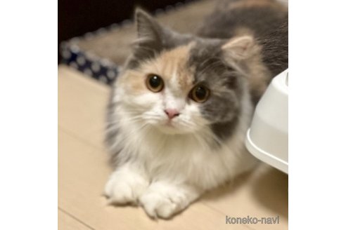 メルちゃん1枚目