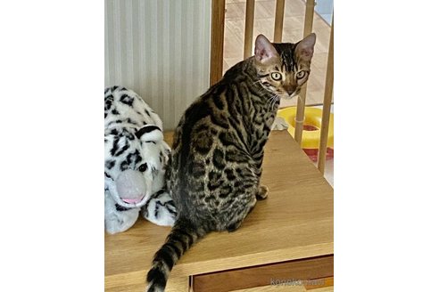 りんちゃん1枚目