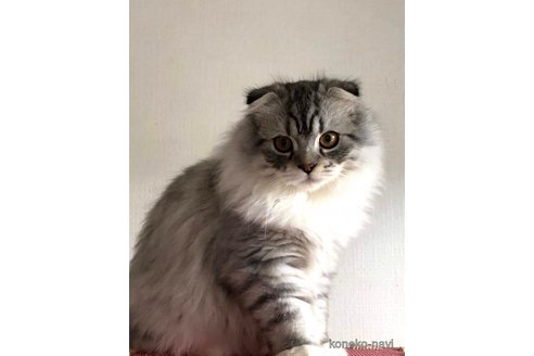 ロワくん1枚目