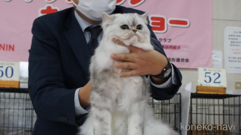 ムスターファくん1枚目