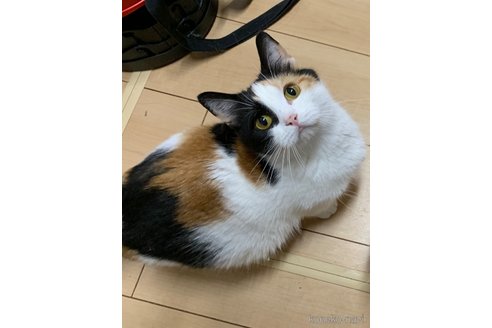 ちゃん1枚目