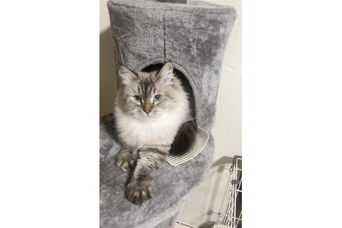 ユキちゃん1枚目
