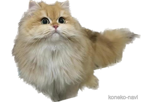 ちゃん1枚目