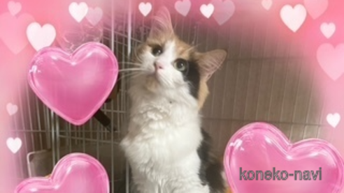 ちゃん1枚目