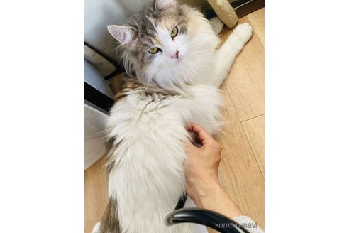 nonoちゃん1枚目