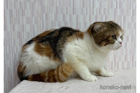 アロマちゃん1枚目