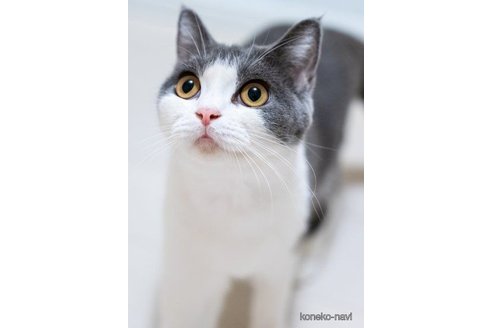 ちかちゃん1枚目