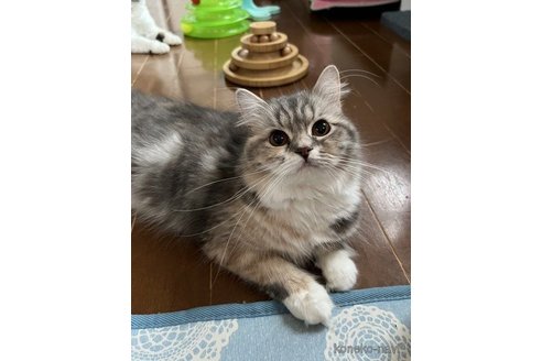 しずくちゃん1枚目