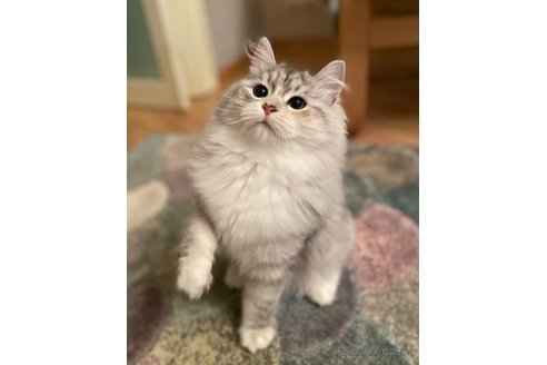 ちゅーやちゃん1枚目