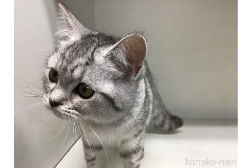 成約済の山形県のミックス-101239の4枚目