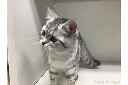 成約済の山形県のミックス-101239の3枚目