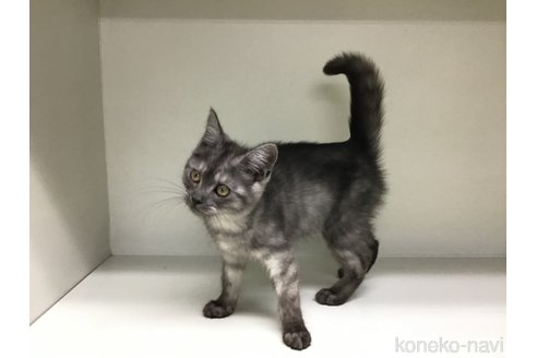 成約済の山形県のミックス-101236の5枚目