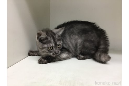 成約済の山形県のミックス-101236の2枚目