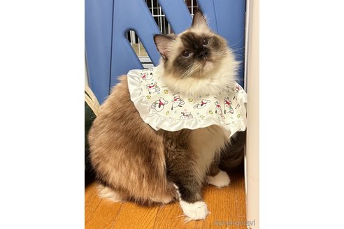 ちゃん1枚目