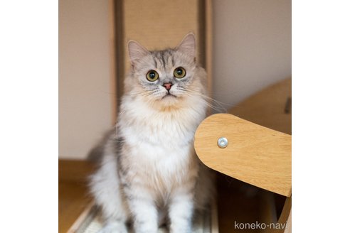 咬咬ちゃん1枚目