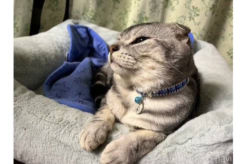 ひなたくん1枚目