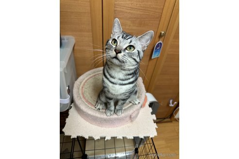 くん1枚目