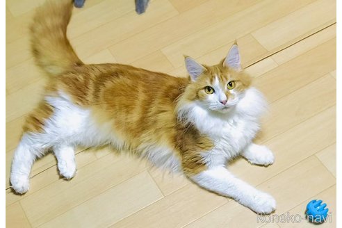 ちゃん1枚目