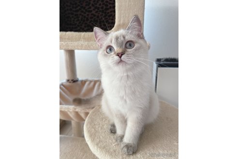 ちゃん1枚目