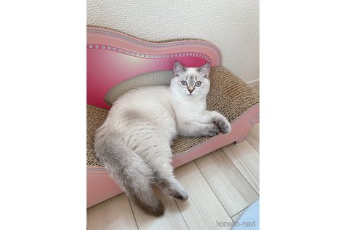 ちゃん1枚目