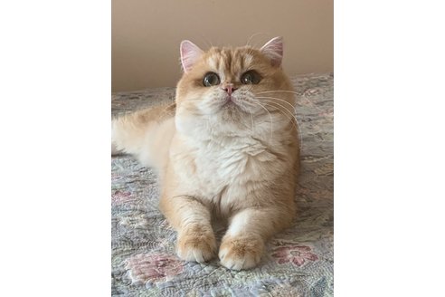 YAMATO くん1枚目