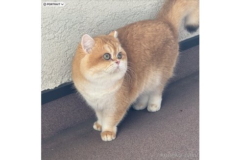YAMATO くん1枚目