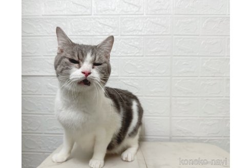 ちゃん1枚目