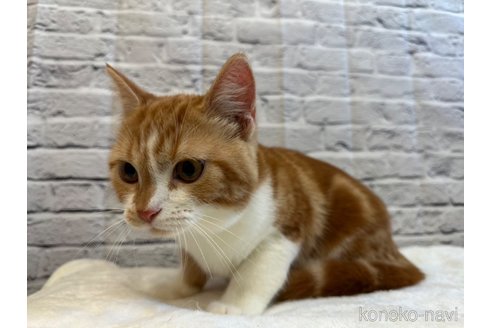 ケロくん1枚目