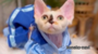 オンライン見学