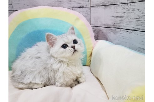 ちゃん1枚目