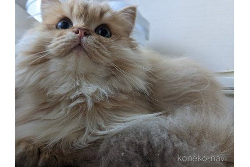 ゼノちゃん1枚目