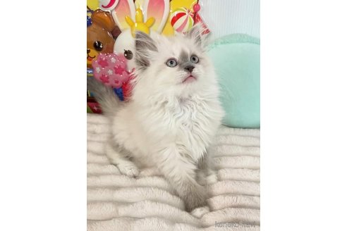 アイルちゃん1枚目