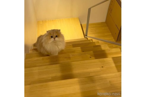 くん1枚目