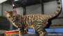 オンライン見学