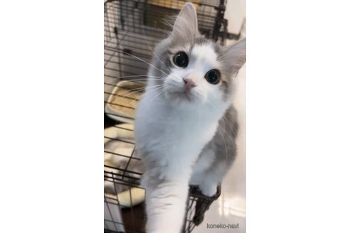 ルイくん1枚目