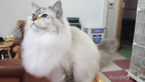 みとりちゃん1枚目
