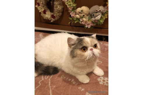 クララちゃん1枚目