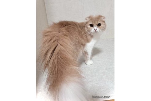 もなかちゃん1枚目