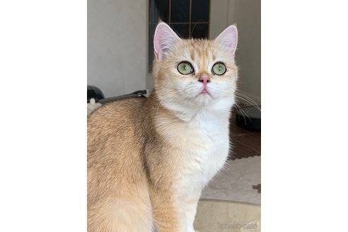 エレンちゃん1枚目
