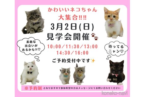 成約済の神奈川県のサイベリアン-107659の3枚目