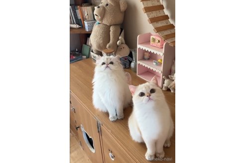ちゃん1枚目