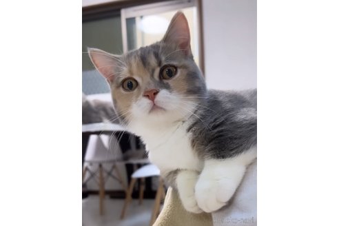 ペコちゃん1枚目