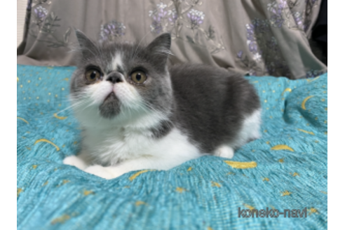 リアムくん1枚目
