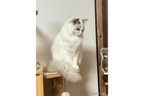 ちゃん1枚目