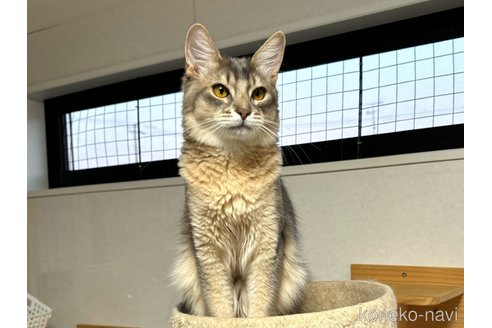 レオくん1枚目