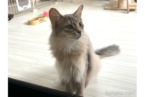 ララちゃん1枚目