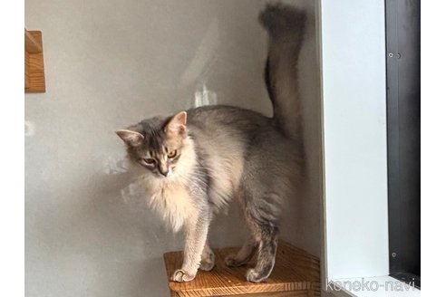 ララちゃん1枚目