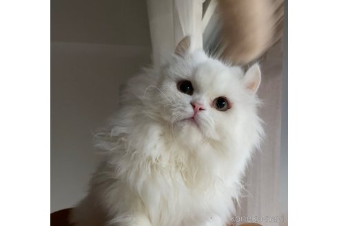 マルコくん1枚目